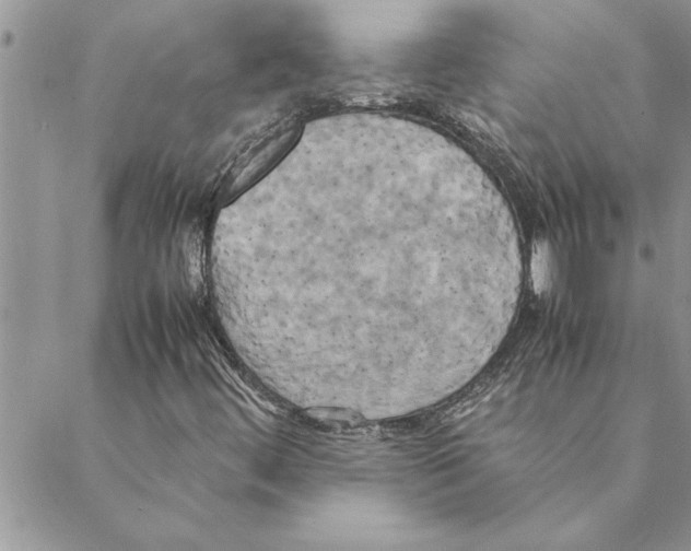 X0000088211444200706121753