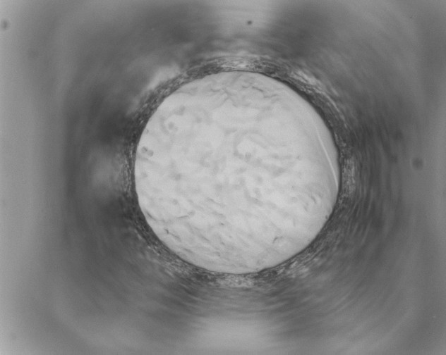 X0000088211446200706121753