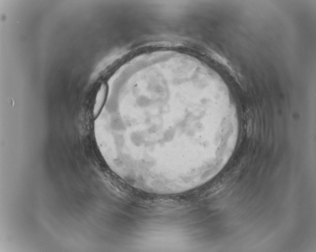 X0000088211448200706121753