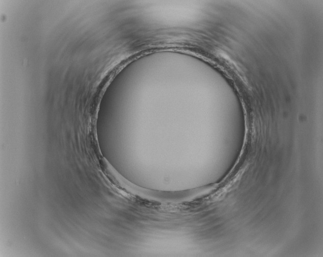 X0000088211449200706121753