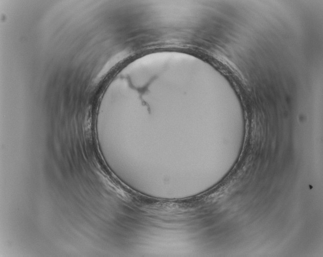 X0000088211450200706121753