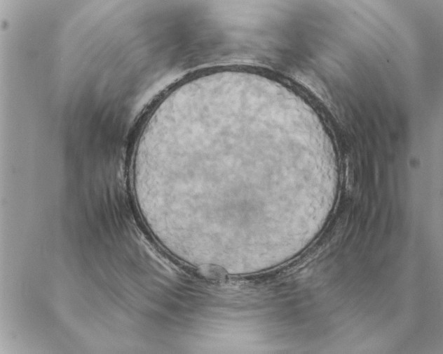 X0000088211452200706121753