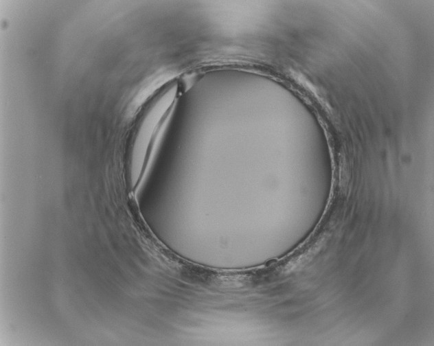 X0000088211453200706121753