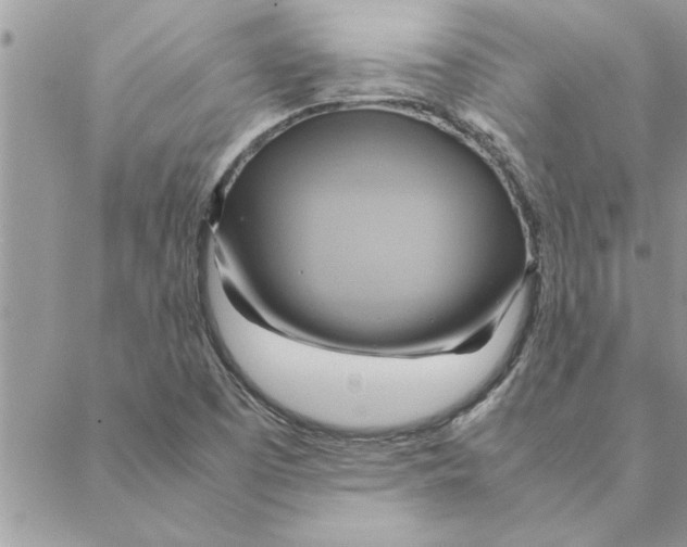 X0000088211457200706121753