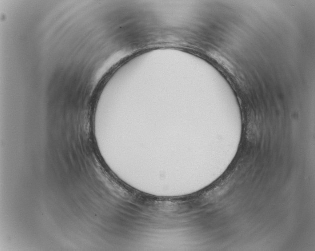 X0000088211458200706121753