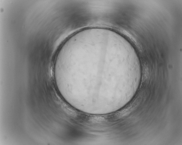 X0000088211462200706121753