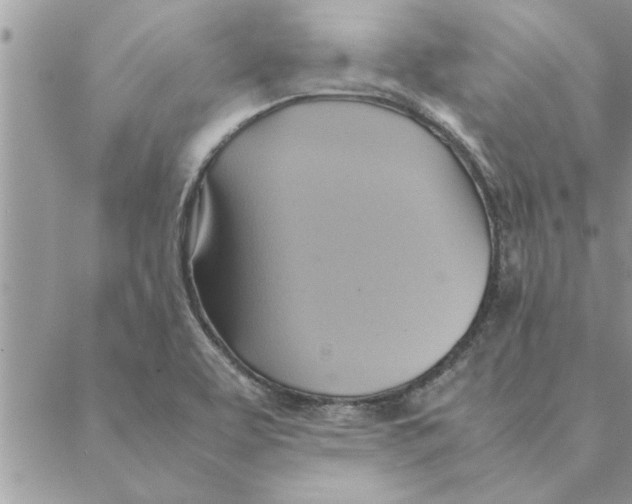 X0000088211463200706121753