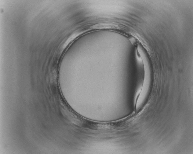 X0000088211465200706121753