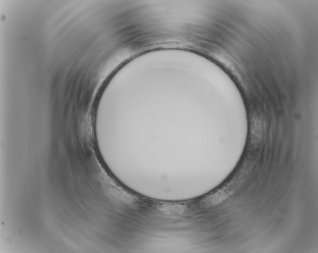 X0000088211466200706121753