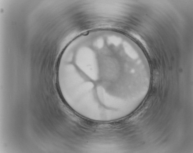 X0000088211467200706121753