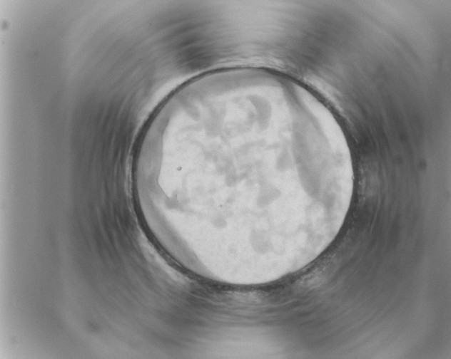 X0000088211468200706121753