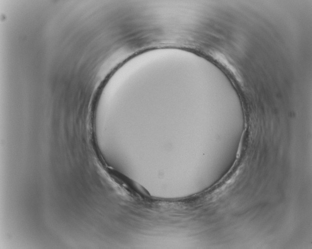 X0000088211469200706121753