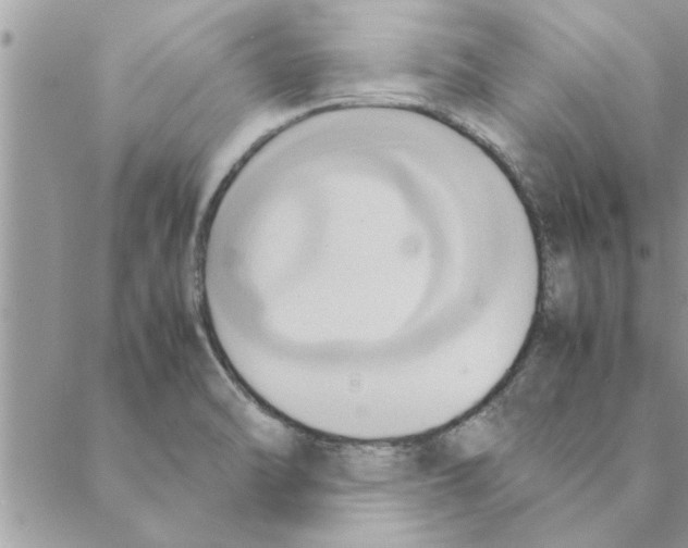 X0000088211470200706121753