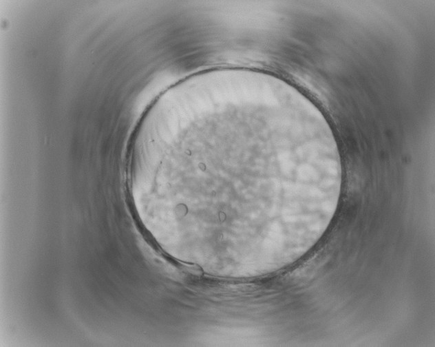 X0000088211471200706121753