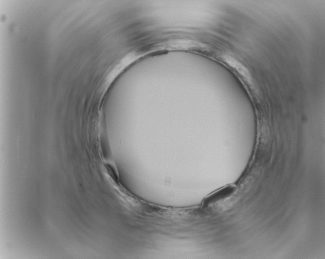 X0000088211473200706121753