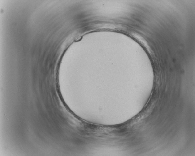 X0000088211475200706121753