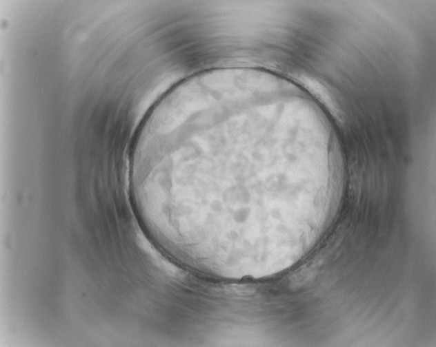 X0000088211476200706121753