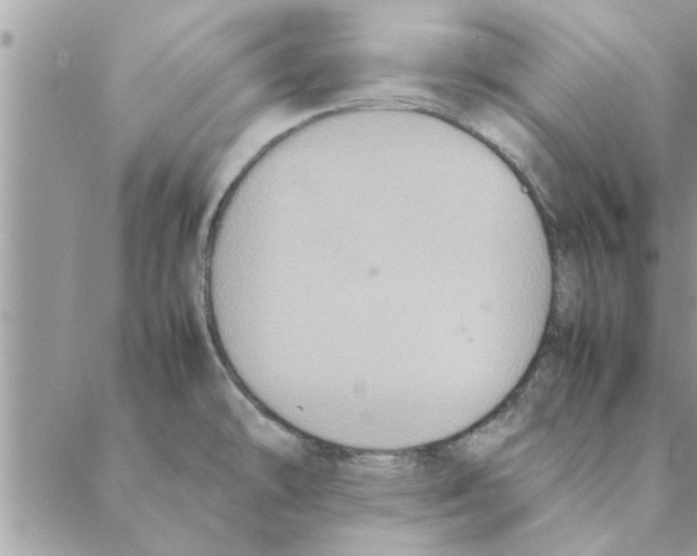 X0000088211478200706121753