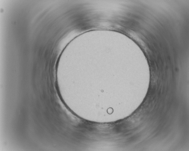 X0000088211479200706121753