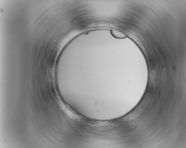 X0000088211482200706121753