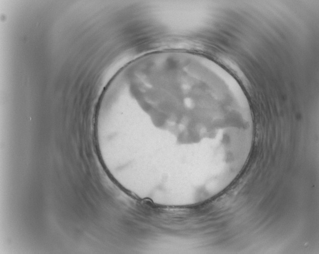 X0000088211483200706121753