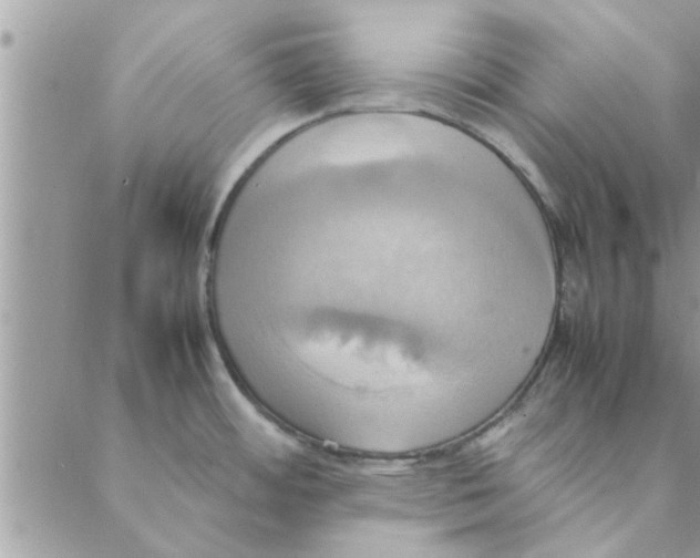 X0000088211484200706121753