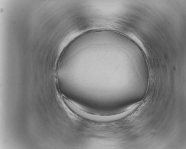 X0000088211485200706121753