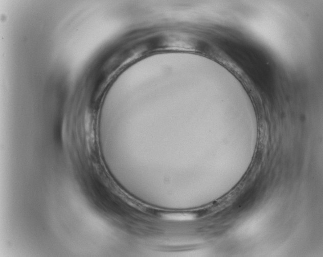 X0000088211487200706121753