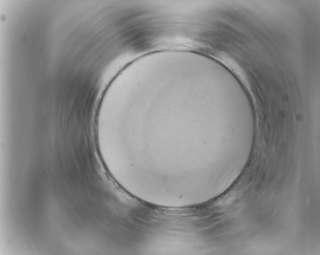 X0000088211488200706121753