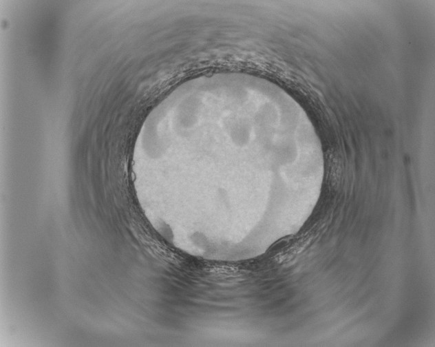 X0000088211489200706121752