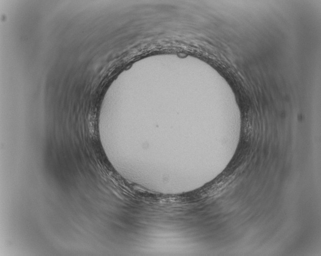 X0000088211490200706121752