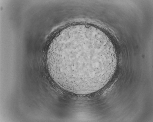 X0000088211494200706121752