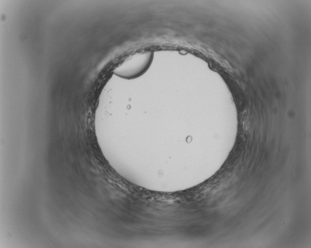 X0000088211495200706121752