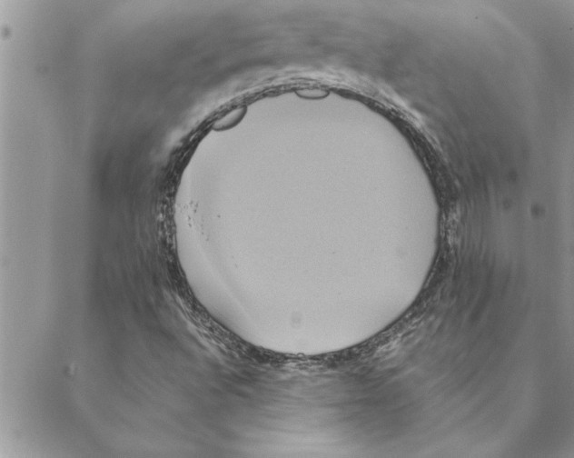 X0000088211496200706121752