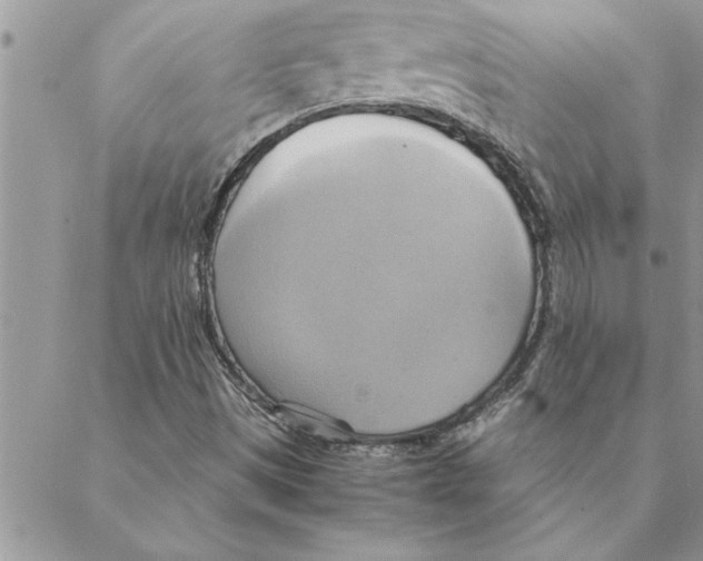 X0000088211497200706121752