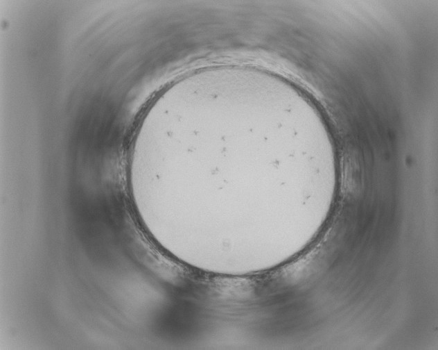 X0000088211498200706121752