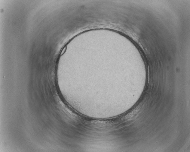 X0000088211500200706121752