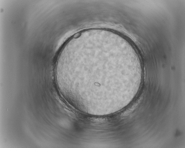 X0000088211501200706121752