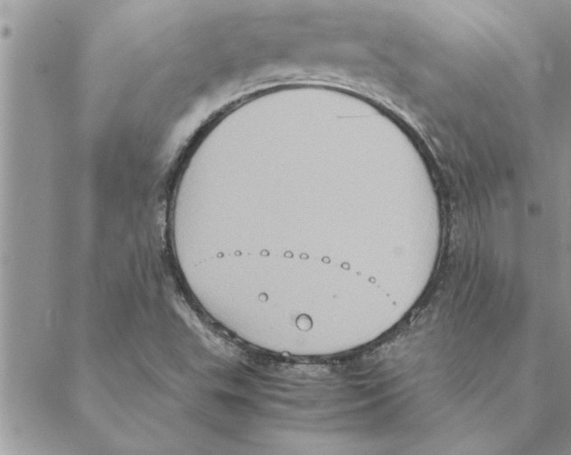 X0000088211503200706121752