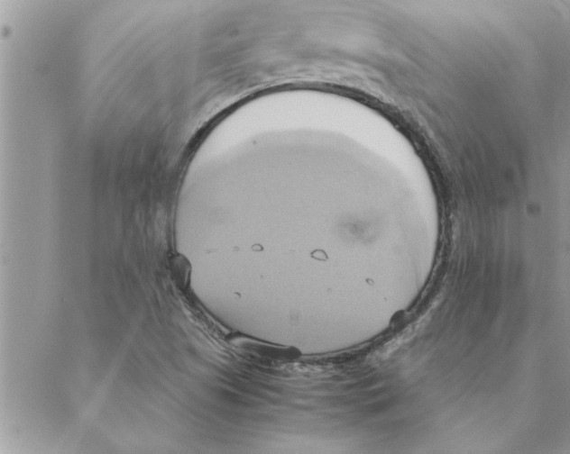 X0000088211505200706121752