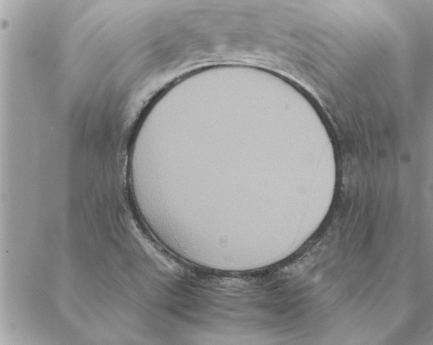 X0000088211507200706121752