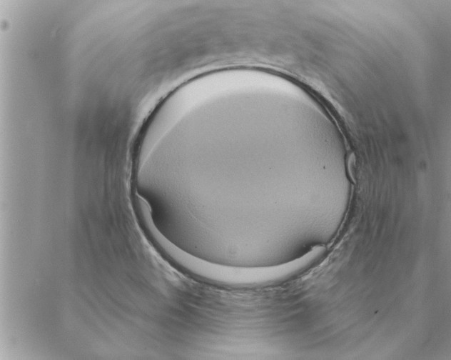 X0000088211508200706121752