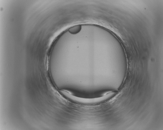 X0000088211510200706121752