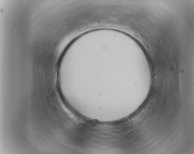 X0000088211511200706121752