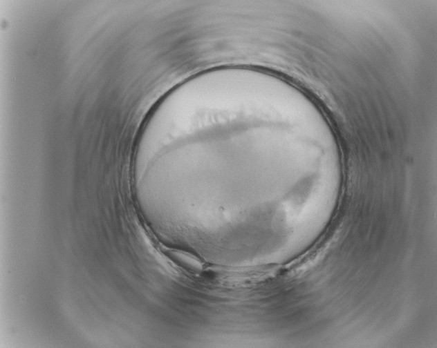 X0000088211513200706121752