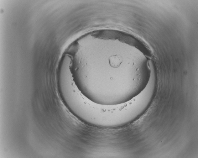 X0000088211514200706121752