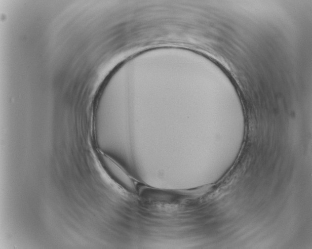 X0000088211515200706121752