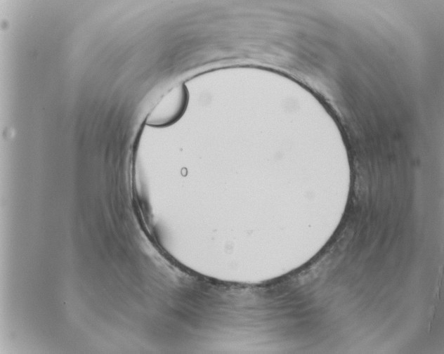 X0000088211516200706121752