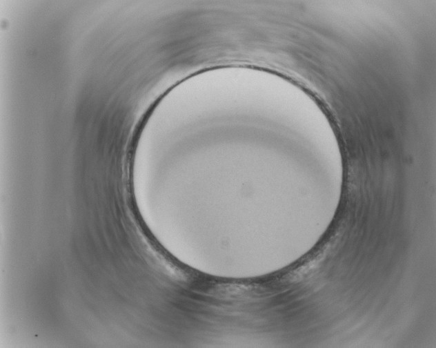 X0000088211517200706121752