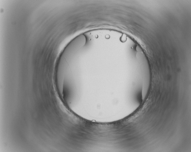 X0000088211518200706121752